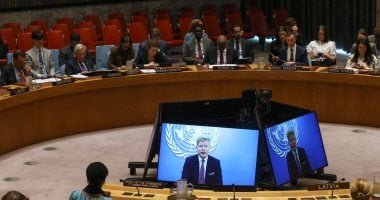 مجلس الأمن الدولي يناقش المخاوف الأمنية في شرق جمهورية الكونغو الديمقراطية