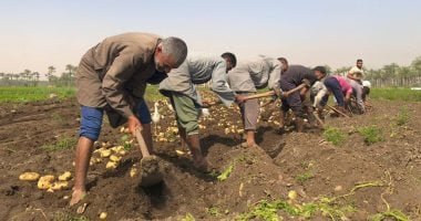 مركز المناخ يحذر: الحرارة تلامس الـ40 درجة وتوصيات عاجلة لحماية المحاصيل