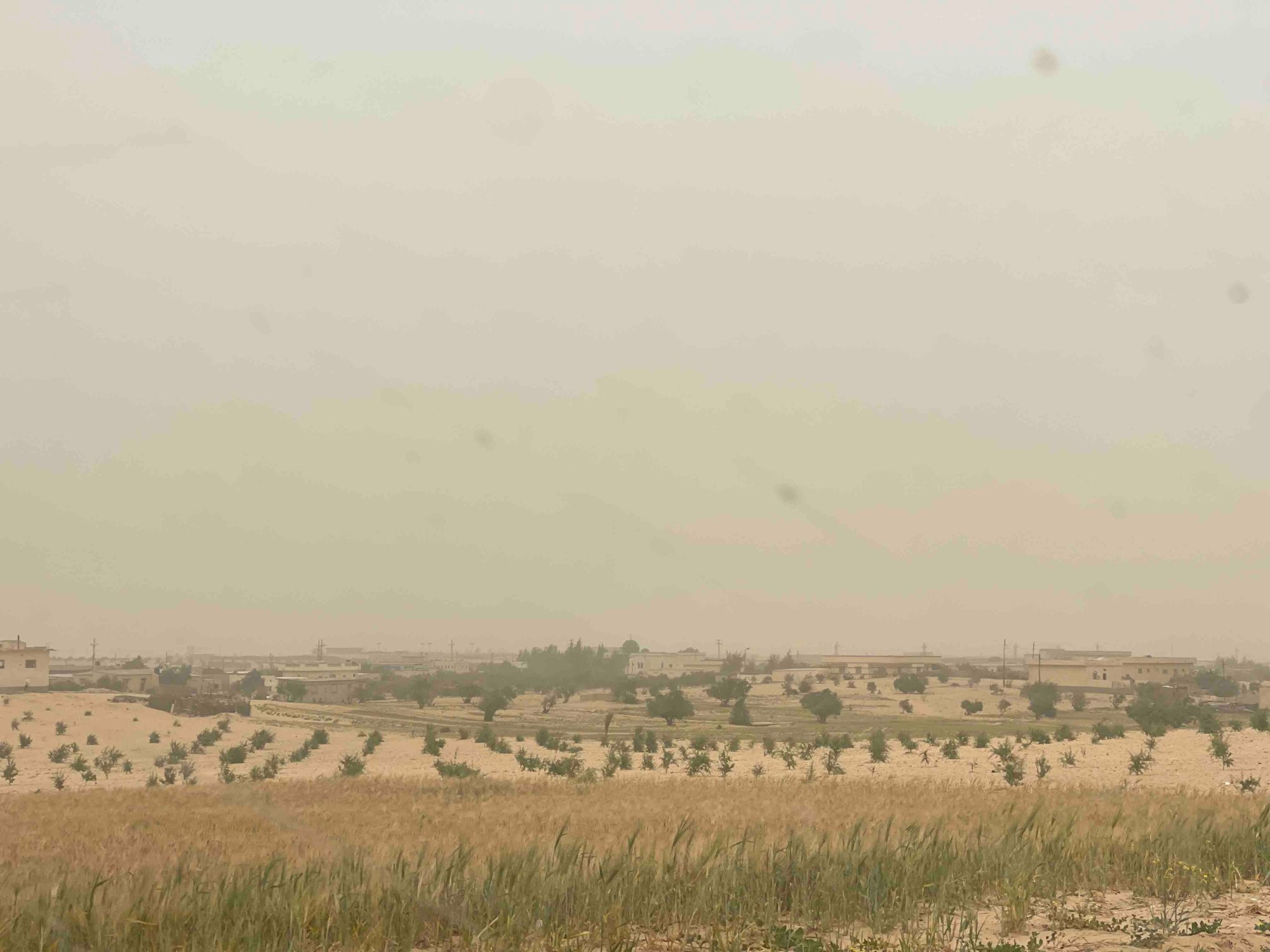 أجواء ترابية 