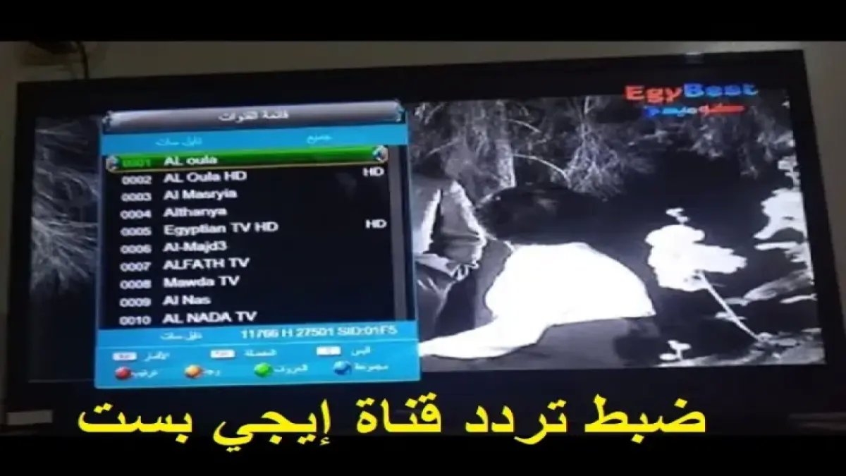 عاجل: تردد قناة SSC الرياضية الجديد 2024 على نايل سات (HD)… خطوات الضبط في 3 دقائق!