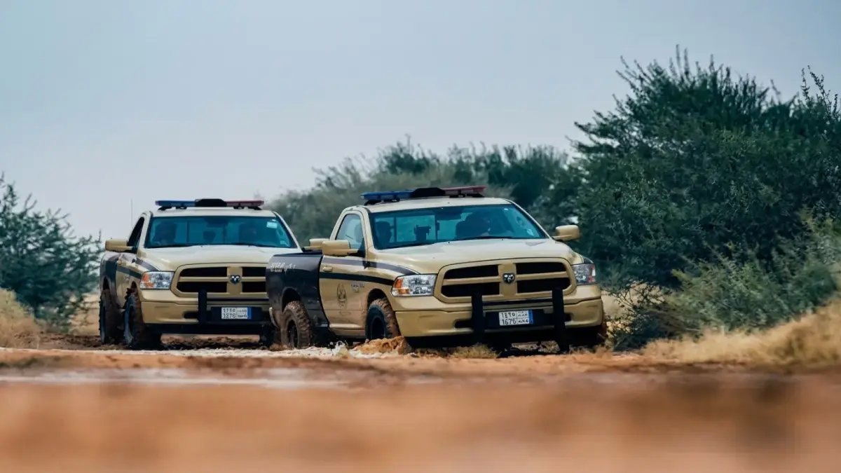 عاجل: غرامة 44 ألف ريال لأصحاب الإبل المخالفين… تفاصيل صادمة عن ضبط 88 جملاً في محمية ملكية مُحظورة!