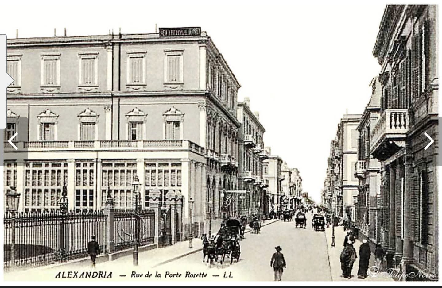 صورة قديمة لشارع فؤاد