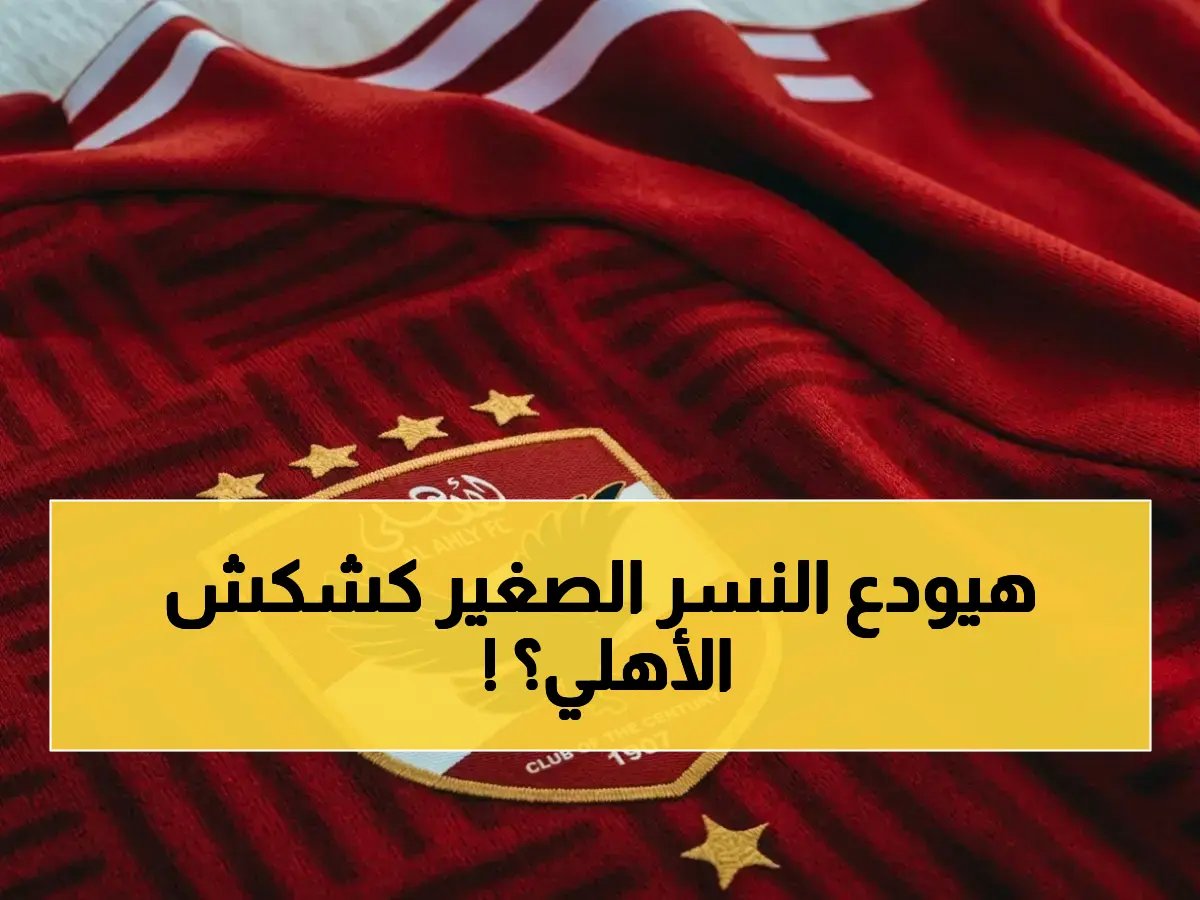  عرض إسباني بـ 5 ملايين يورو يستهدف مصطفى شوبير… هل ستوافق إدارة الأهلي؟