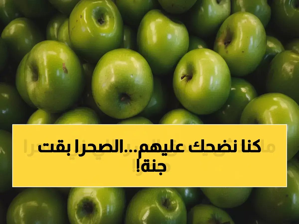 العالم لا يصدق كيف! تحول صحراء مصر القاحلة إلى مصدر رئيسي للتفاح الأخضر لأفريقيا والعالم بفضل إنجازات زراعية فاقت 7.5 مليون طن