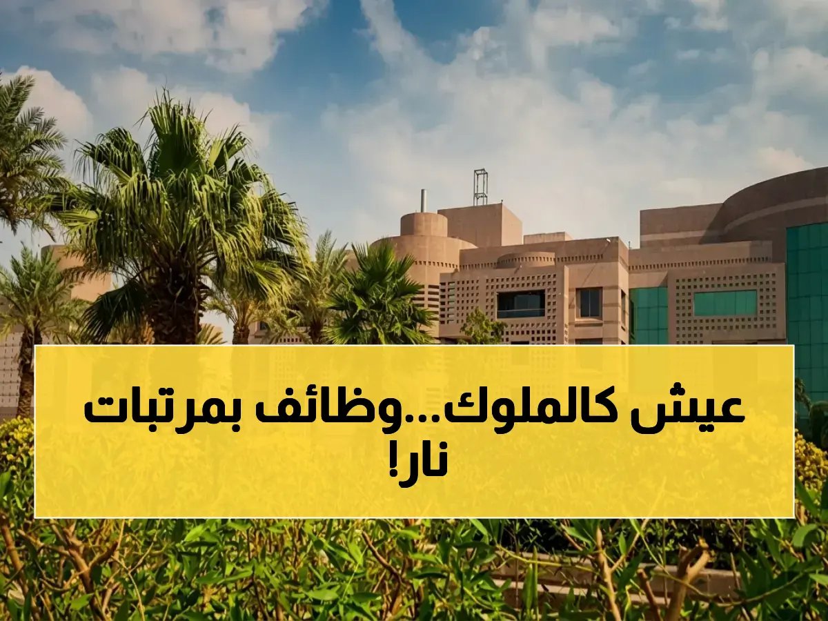  جامعة نجران تفتح باب التوظيف لـ 4 تخصصات صحية... رواتب مميزة للرجال والنساء عبر «مسار»!