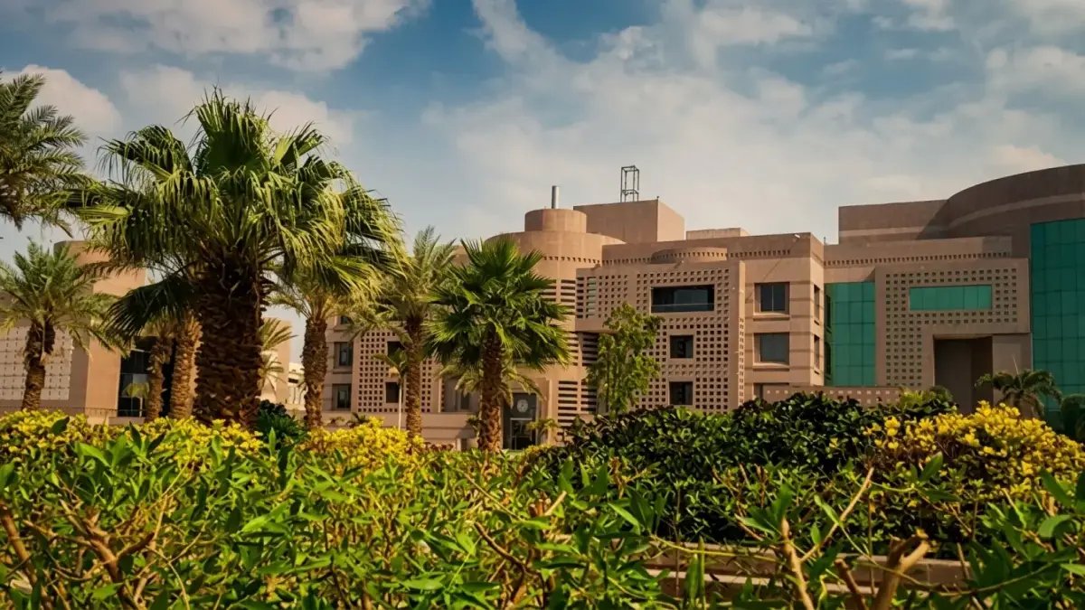 🏥 عاجل: جامعة نجران تفتح باب التوظيف لـ 4 تخصصات صحية... رواتب مميزة للرجال والنساء عبر «مسار»!