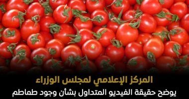 الحكومة توضح حقيقة فيديو متداول بوجود طماطم بالأسواق تم رشها بالإثيريل