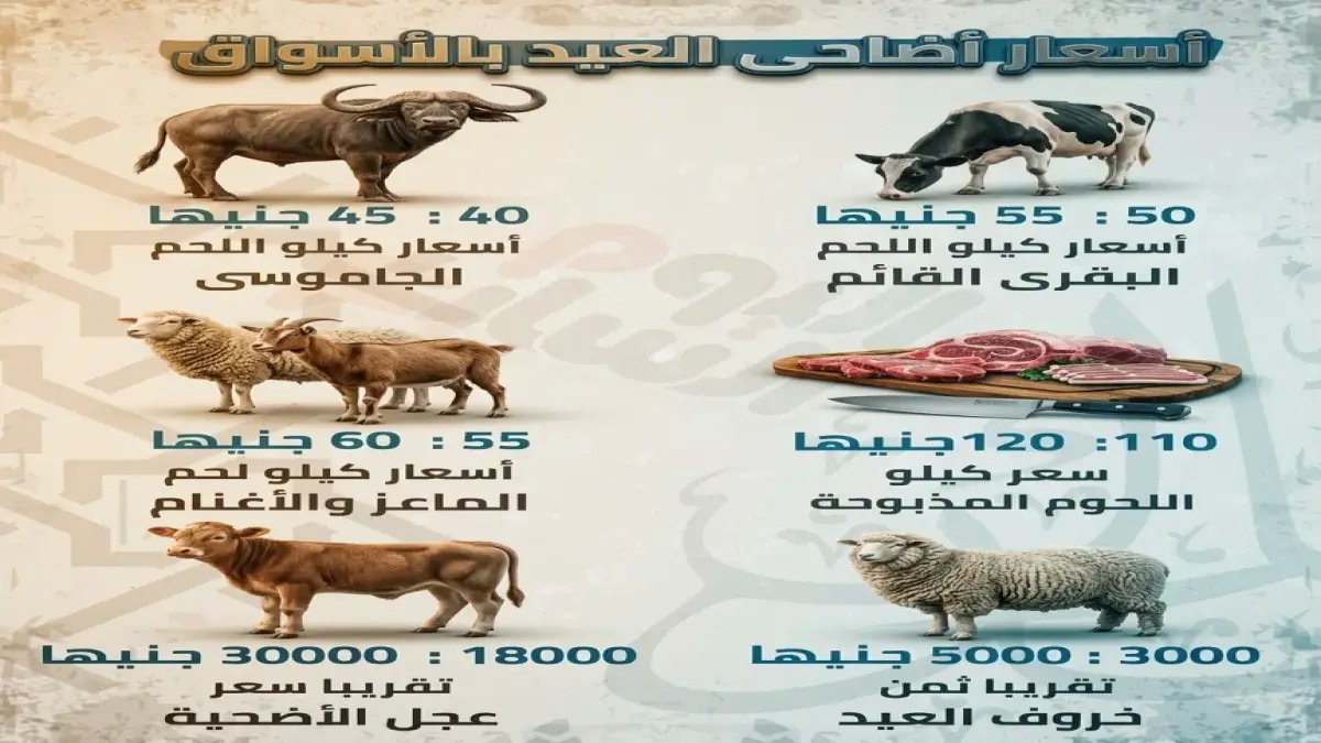 عاجل قبل العيد: ارتفاع أسعار اللحوم يضرب المصريين.. والرقابة تضبط 190 طنًا غير صالح للاستهلاك!