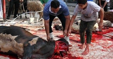 ما الدليل على مشروعية الأضحية؟..دار الافتاء تجيب