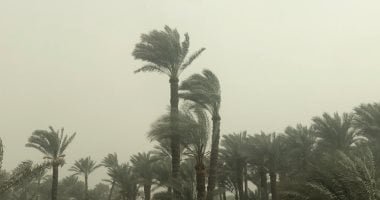 الطقس اليوم.. انخفاض درجات الحرارة وشبورة وأمطار ببعض المناطق
