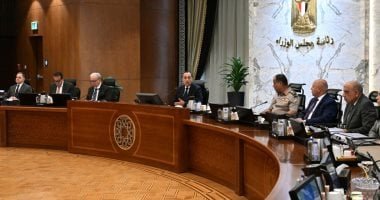 مدبولى: الرئيس وجه بتغطية احتياجات الدولة من السلع الاستراتيجية مدد كافية