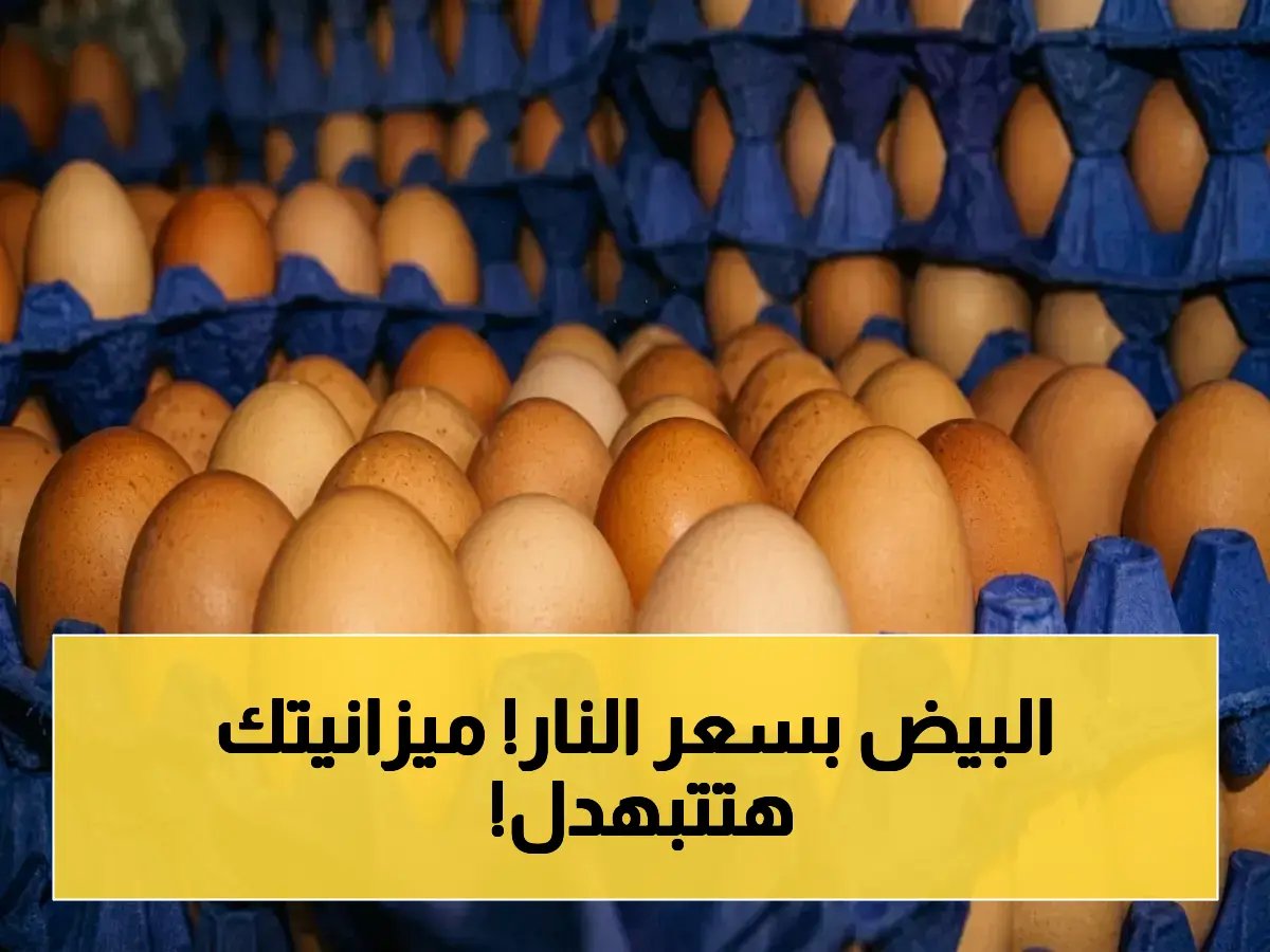  ارتفاع صادم في أسعار البيض يصل إلى 95 جنيهاً للكرتونة - كيف تؤثر على ميزانية الشهر؟