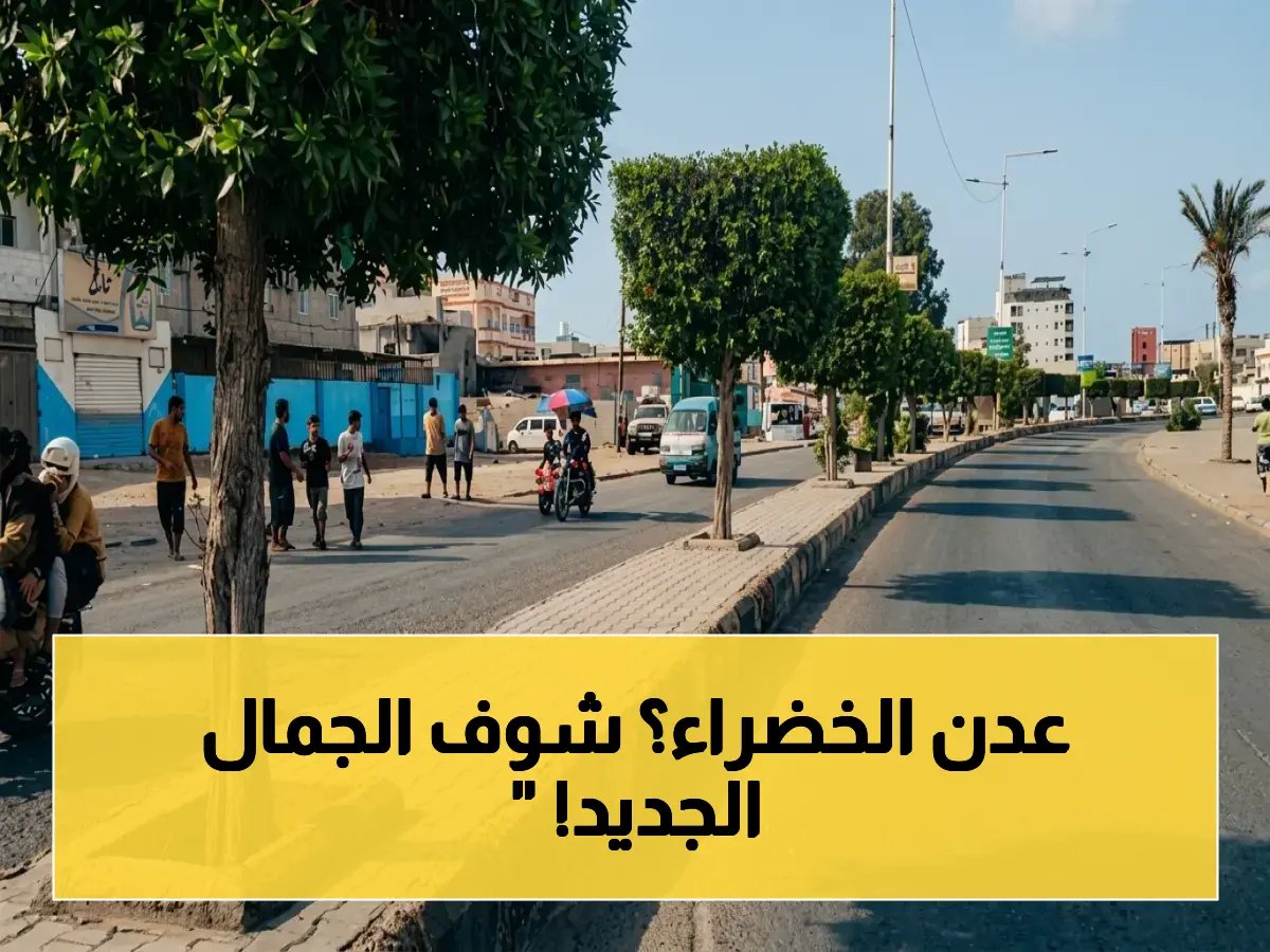 حملة تشجير هائلة في عدن.. تغطي الشوارع الرئيسية والكورنيش لتحويل البريقة إلى منطقة سياحية خضراء!