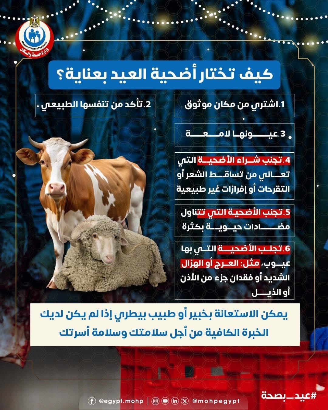 مجازر 2 مجازر 2