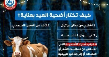 وزارة الصحة تقدم نصائح هامة لاختيار أضحية العيد.. إنفوجراف