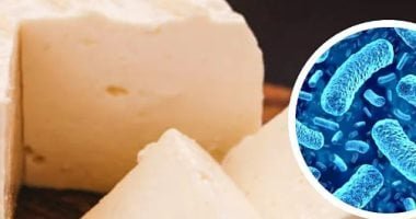 الجبن بها سم قاتل.. إسبانيا تحذر من تلوث 5 أنواع ببكتيريا الليستيريا