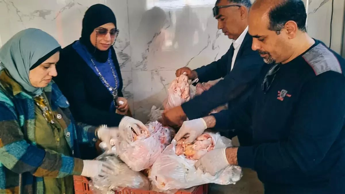 عاجل: حملة تموينية بالسويس تكشف كارثة - 124 كيلو لحوم فاسدة و70 رغيف حواوشي في أسواق المواطنين!