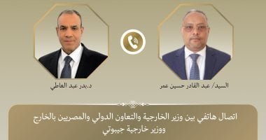 وزير الخارجية ونظيره الجيبوتي يبحثان تطورات الأوضاع في منطقة القرن الأفريقي