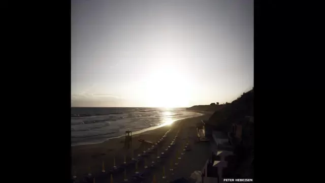  بيتر هيبيسين 