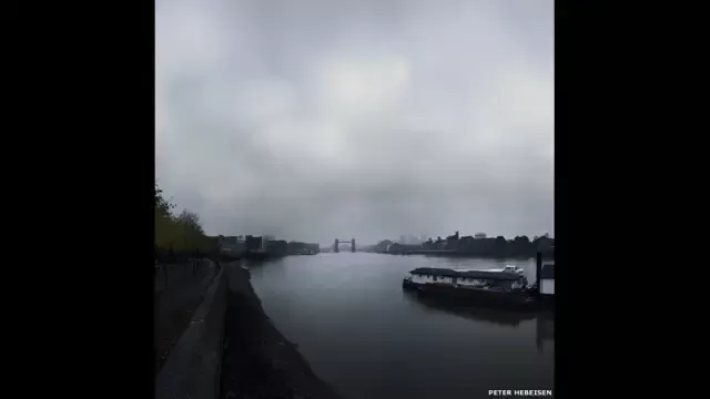  بيتر هيبيسين 