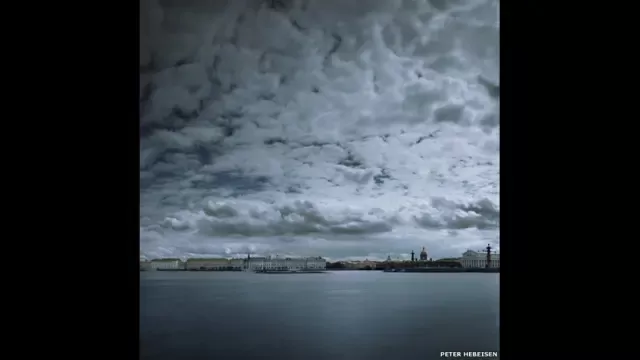  بيتر هيبيسين 